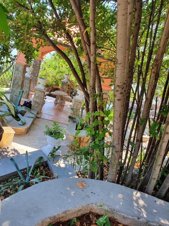 Biser Bed & Breakfast