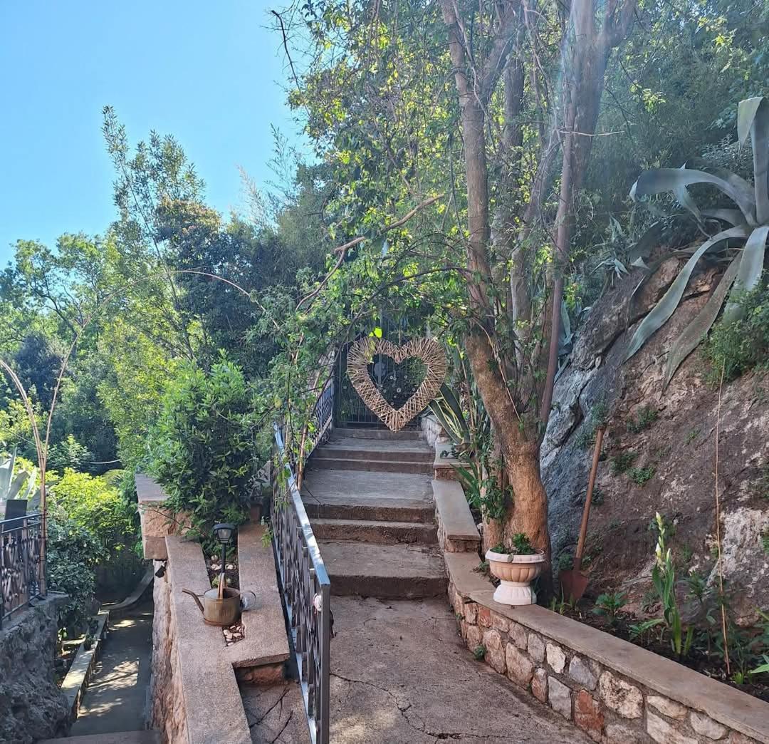 Biser Bed & Breakfast Mošćenička Draga